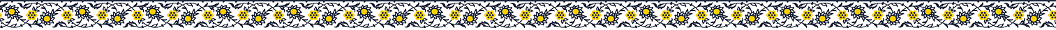 navar3