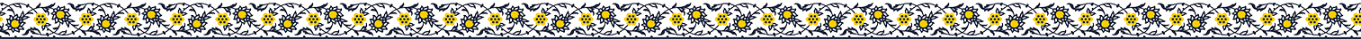 navar4